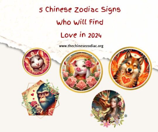 Chinese Love Forecast 2024: 5 Zodiac S澳洲幸运10开奖官网历史记录查询168-实时同步168开奖官方消息